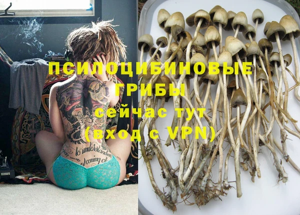 мескалин Белокуриха