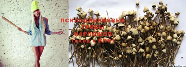spice Беломорск