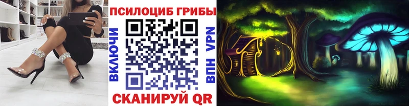 ссылка на мегу ССЫЛКА  магазин продажи наркотиков  Фурманов  Галлюциногенные грибы мухоморы 